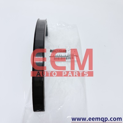 13091‑2J202 Timing Chain Slack Side Guide，Curved Chain Rail